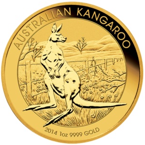 Australian-gold-kangaroo